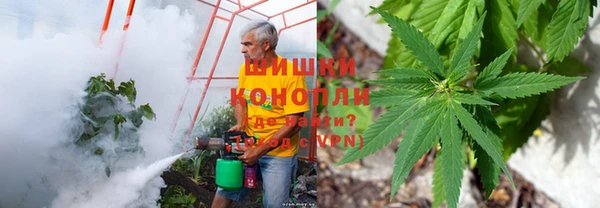 каннабис Алзамай