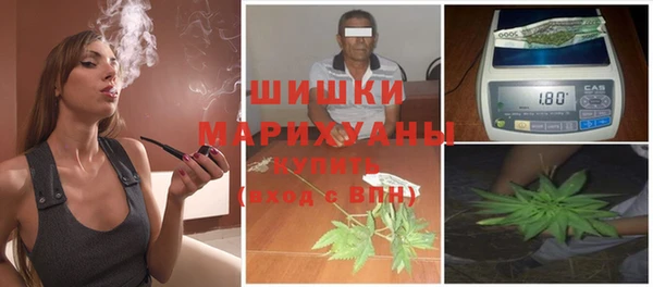 бошки Алексин