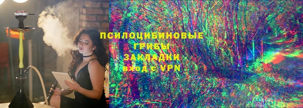 бошки Алексин