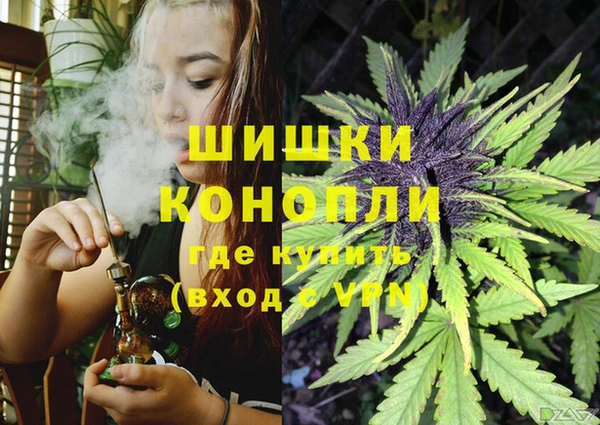 бошки Алексин