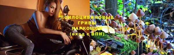бошки Алексин