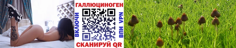 Галлюциногенные грибы Magic Shrooms  закладка  Отрадная 